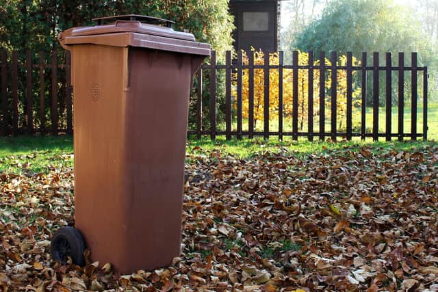 Garden waste is collected in brown bins in Mansfield.