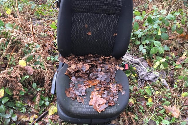 Car seat abandoned in the woods