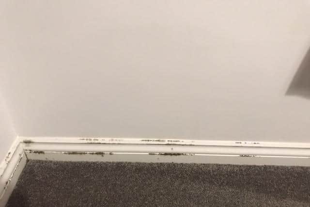 Thick black mould covered the skirting boards throughout the property