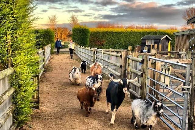 Manor Farm