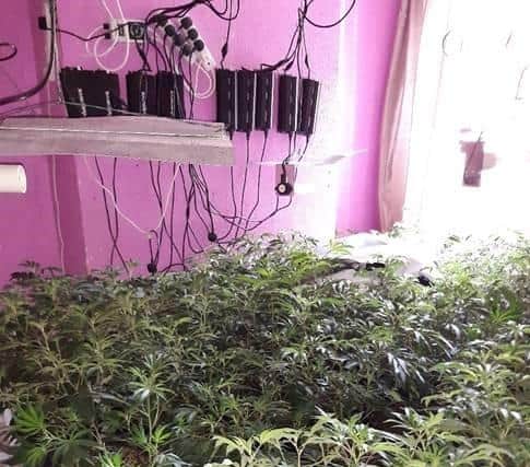 Cannabis with a street value estimated at £100,000 found in Mansfield house.