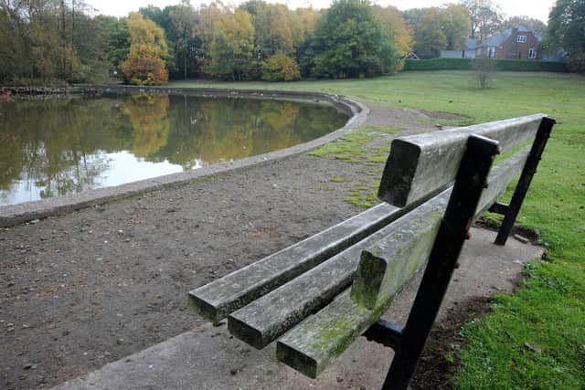 Mansfield's Berry Hill Park.