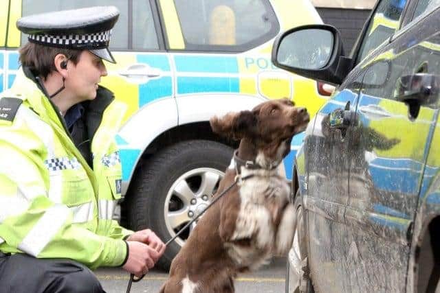 Police with sniffer dogs might be a common sight at train stations to stop 'County Lines' drug dealing.
