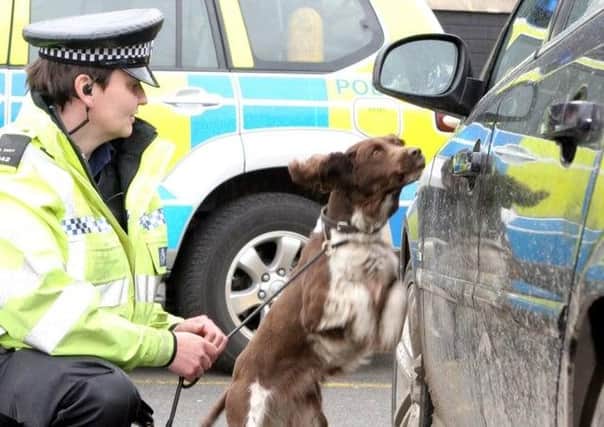 Police with sniffer dogs might be a common sight at train stations to stop 'County Lines' drug dealing.