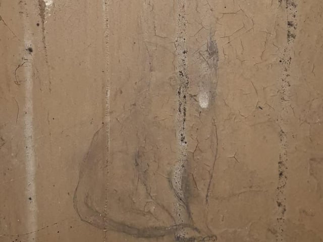 Types of graffiti present, include drawings of a cat (pictured), tanks, self-portraits, pin-up girls, insults, warnings, and lines of poetry.