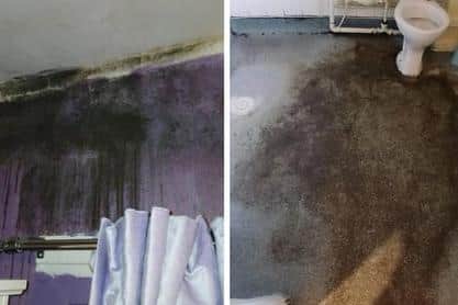 Photos from a home where Groundwork Five Counties recently found extensive black mould