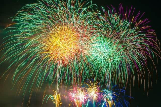 The fireworks have been cancelled to protect the park's wildlife