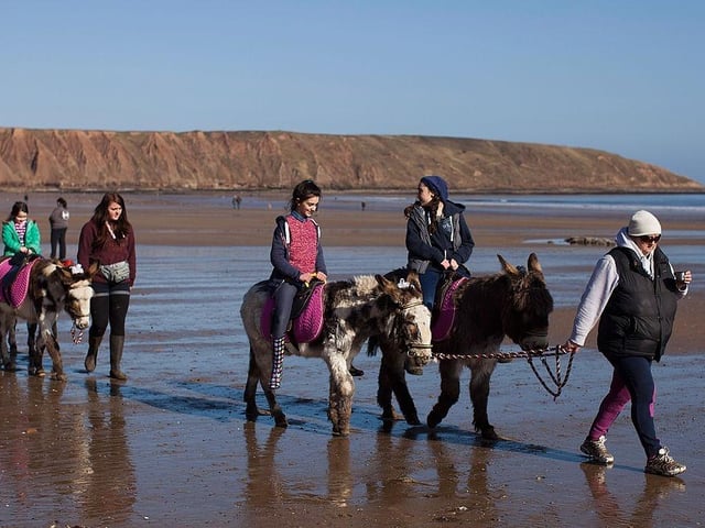 It's about 2.5 hours away but it's well worth it. Filey offers the best of outdoor life with miles of beautiful beaches and excellent coastal walks. It's an area blessed with plenty to do with Scarborough, Whitby, Bridlington and Flamborough lighthouse all near by.
