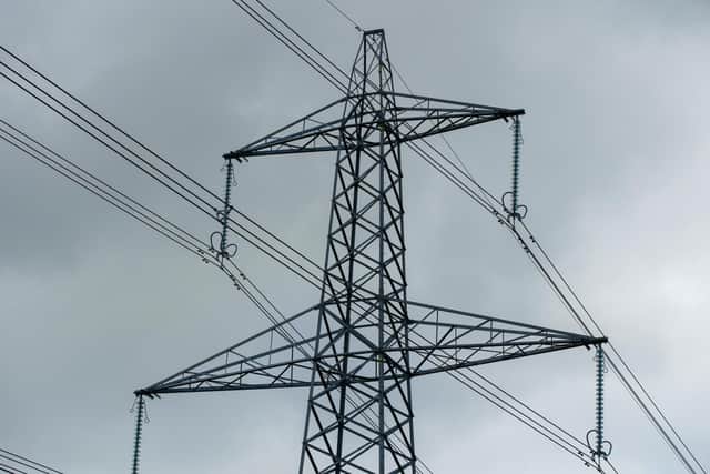 Home Office figures show Nottinghamshire Police received 49 reports of the 'dishonest use of electricity' in the year to March.