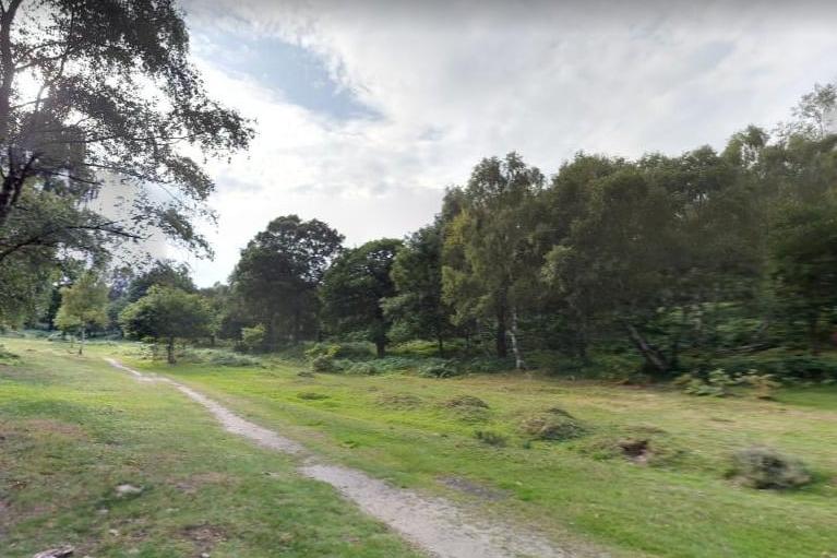 Of course, Mansfield is blessed with being on the doorstep of the magnificent Sherwood Forest.