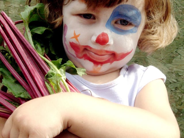 Little Kenna Davies, from Forest Town, gathered some of the crops from the Surestart allotments at a BBQ for children. Some of the produce grown at the allotment was used for the food at the BBQ. 2006.