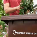 Brown bin collections are going into hi-bin-ation