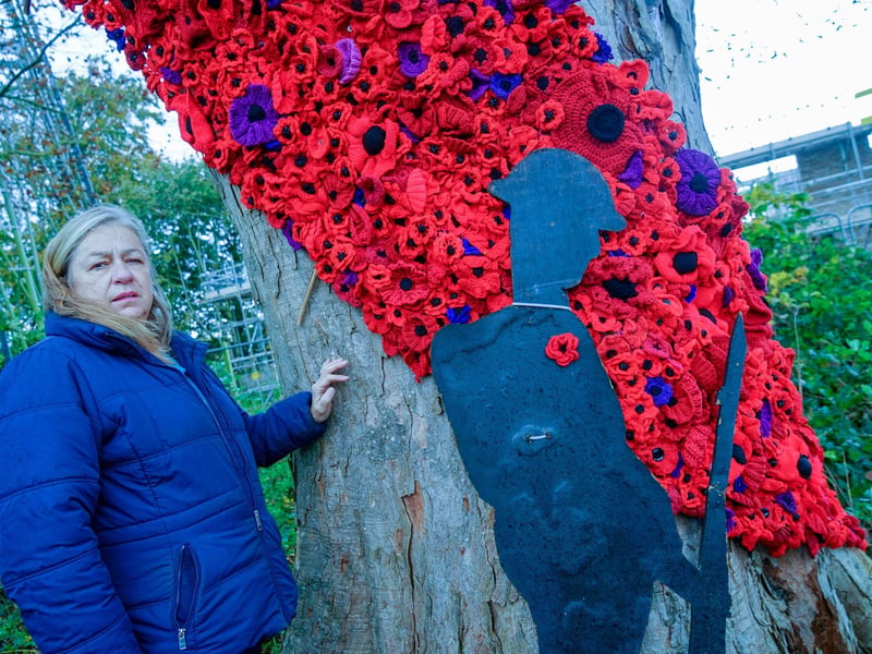 Friends of Berry Hill Park committee member Susan Fretwell is "proud" of the community for producing the display.