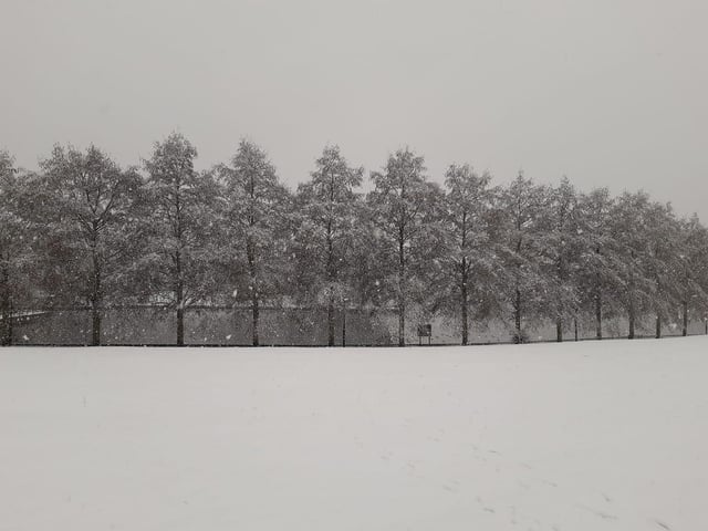 Doncaster Lakeside. Taken by Julie Fort.