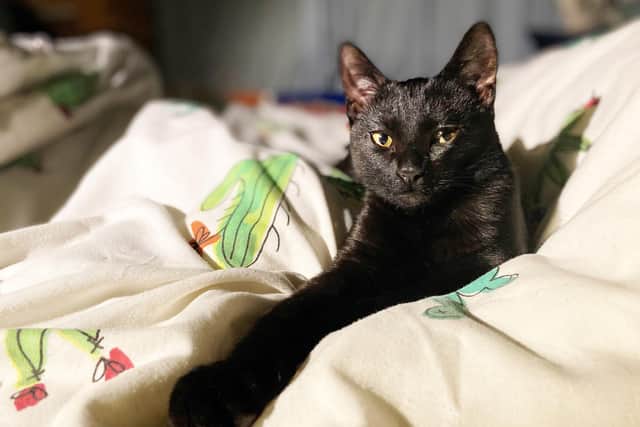 Squid's gorgeous calendar shot.