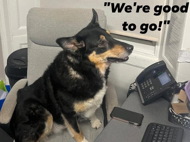Forest Veterinary Clinic Ltd, 5 Terrace Road, Mansfield, has a 4.7 rating on Google, with just over 450 reviews. The majority of reviews highlighted the high quality of service provided by the practice. See more at mansfieldvets.co.uk