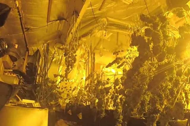 Officers attended Fairholme Drive, Mansfield, after hearing a break-in had just taken place. Image: Nottinghamshire Police.