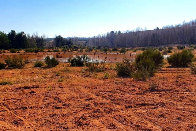There is now a ban on using off-road vehicles and motorcycles on publicly accessible land in the area known locally as 'The Desert'.
