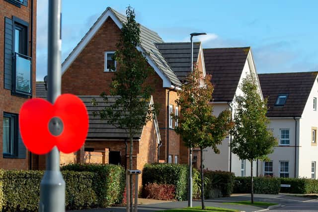 A lamp-post poppy at one of the new housing developments, built by Barratt Homes and David Wilson Homes.