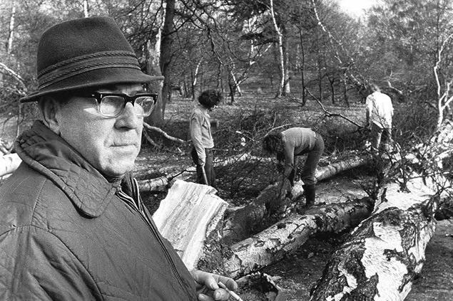 1976 and the trees were ripped from their roots with wind speeds reaching more than 70mph.