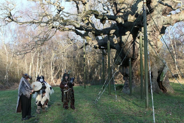 Musicians performing at the Major Oak in Sherwood Forest.