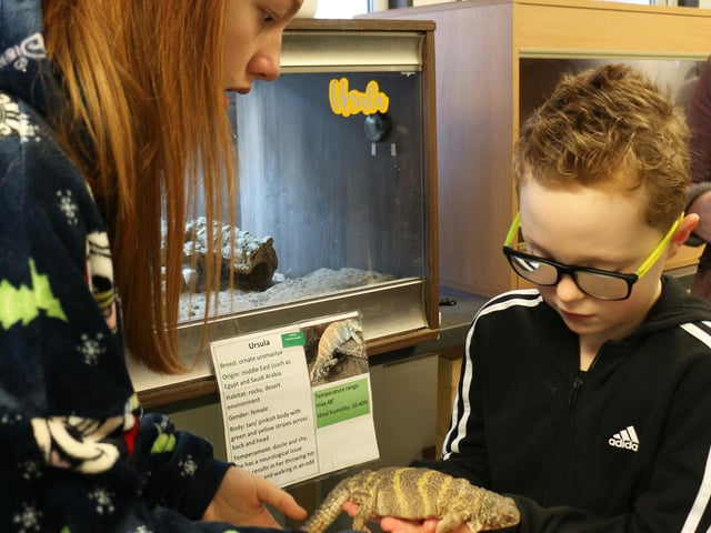 Jack Bingham, aged seven, holds Ursula the uromastyx.