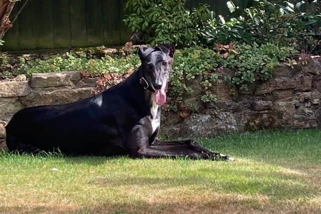 Patrick recently spent time in a foster home