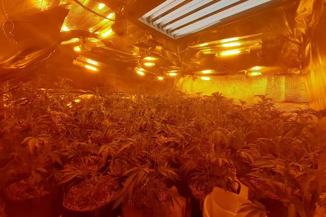 Officers seized a cannabis haul worth £123,000 in Skegby. Photo: Nottinghamshire Police
