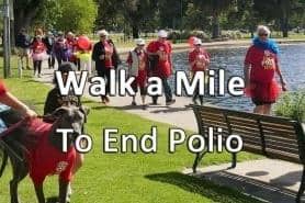 Mansfield Rotarians are walking one Mile for Polio