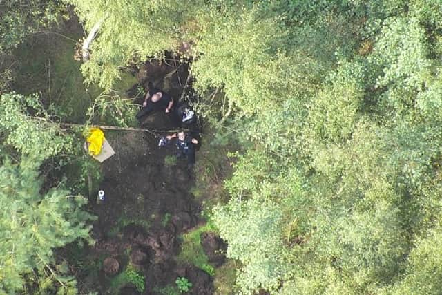 Image shows some of the plants - captured by a police drone.