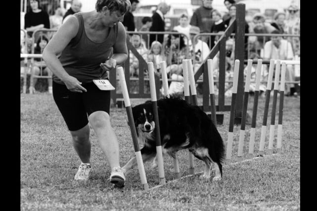 A contestant taking part in the Pedigree Chum agility stakes qualifying heats in the Southsea Show arena, 1993. The News PP5192