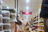 Pets will be allowed into dozes of Wilko stores, including the one in Retford.