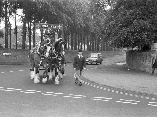The Coalite horses walking along Priory Road.