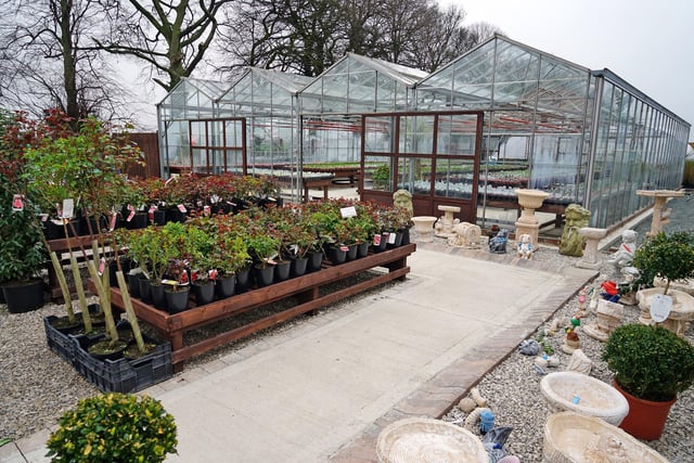 Glapwell Nurseries has everything for garden novices to well-seasoned growers - with long-serving staff always on hand to offer help and advice