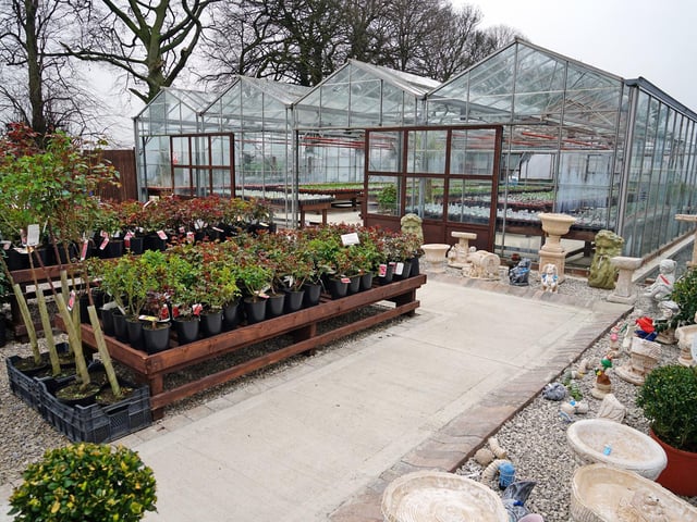 Glapwell Nurseries has everything for garden novices to well-seasoned growers - with long-serving staff always on hand to offer help and advice