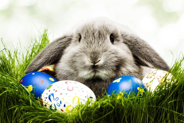 Easter begins this weekend at Rufford Country Park in Ollerton, where kids get the chance to have breakfast with the Easter bunny on Saturday and Sunday (10.30 am). They can also take part in the venue's annual Easter egg hunt. Find the eggs that the bunny has hidden, record them on a trail sheet and win a special prize.