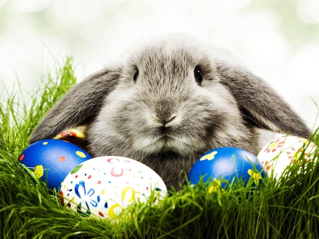 Easter begins this weekend at Rufford Country Park in Ollerton, where kids get the chance to have breakfast with the Easter bunny on Saturday and Sunday (10.30 am). They can also take part in the venue's annual Easter egg hunt. Find the eggs that the bunny has hidden, record them on a trail sheet and win a special prize.