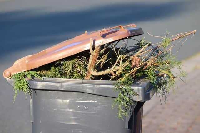 Residents with extra garden waste to dispose of can buy up to three additional brown bins.