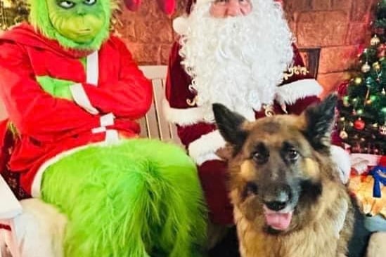 Here is Raina at Dels pets, getting into the festive spirit with some familiar friends.