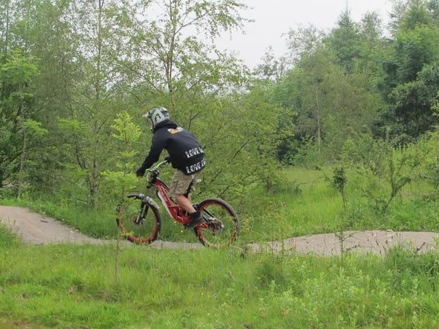 On the subject of mining, a terrific example of how a former colliery site has been transformed is Brierley Forest Park at Huthwaite. It now stands proud as a wildlife haven, with a network of footpaths, cycling and horse-riding routes through a series of plantation woodlands, hay meadows, streams and wetland areas. Given that the 78-hectare park also includes a children's play area and play trail, plus a mountain-bike track, sculpture features and a visitor centre with cafe, the park is a wonderful day out for families.