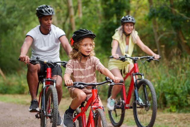 A family enjoying a forest bike ride.