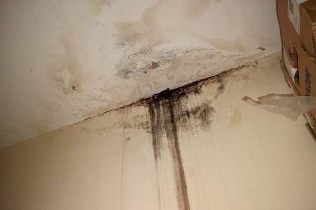 An image shared from inside an Ashfield property.