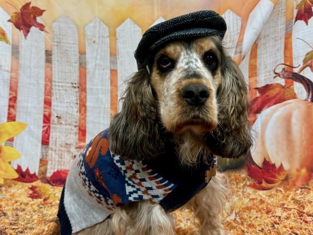 This guest was looking very dapper.