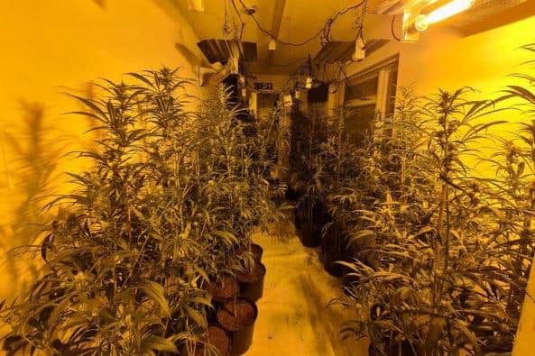 A Kirkby cannabis grow worth £1.25m was discovered after snow melted on the property's rooftop in winter.