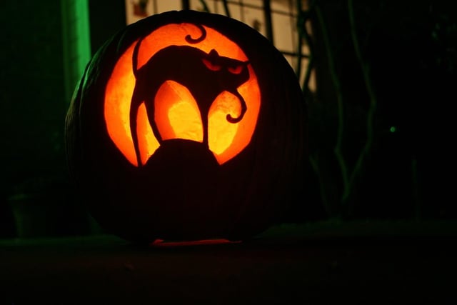 Black cats and Halloween go together hand in hand, so why not combine the two in your pumpkin design?