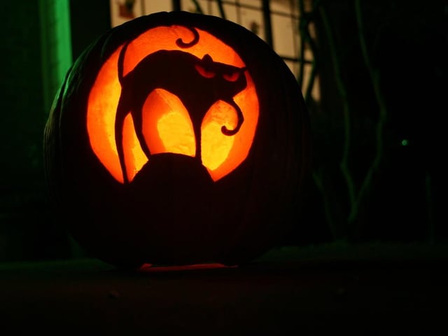 Black cats and Halloween go together hand in hand, so why not combine the two in your pumpkin design?