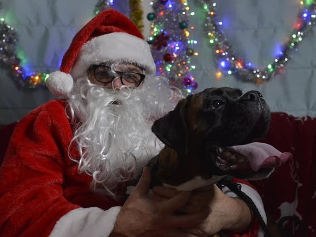 Here is a photo of Stan, aged one, with Santa. Abbie from Warsop shared this with us.
