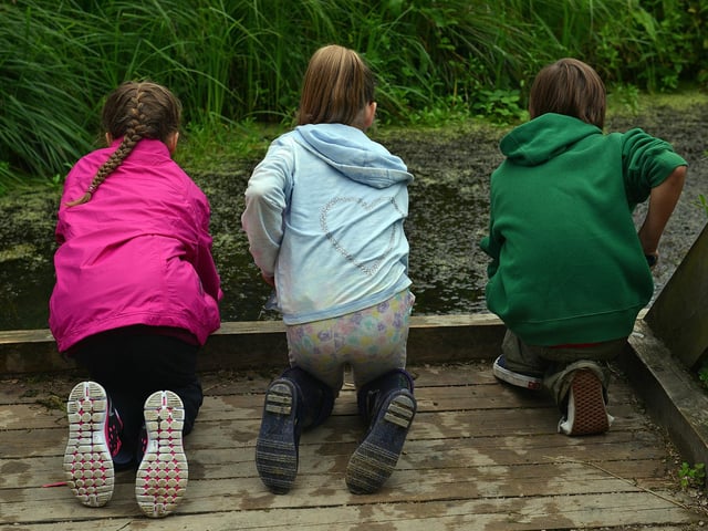 Children from King Edward Primary School pond dipping in 2016.