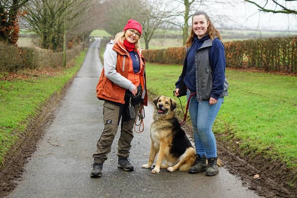 Doggy Dens UK Rescue. Denise Hardwick and Jade Sheldon with Bruce.