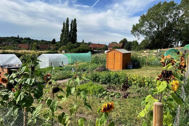 New allotments at Sandy Lane in Mansfield